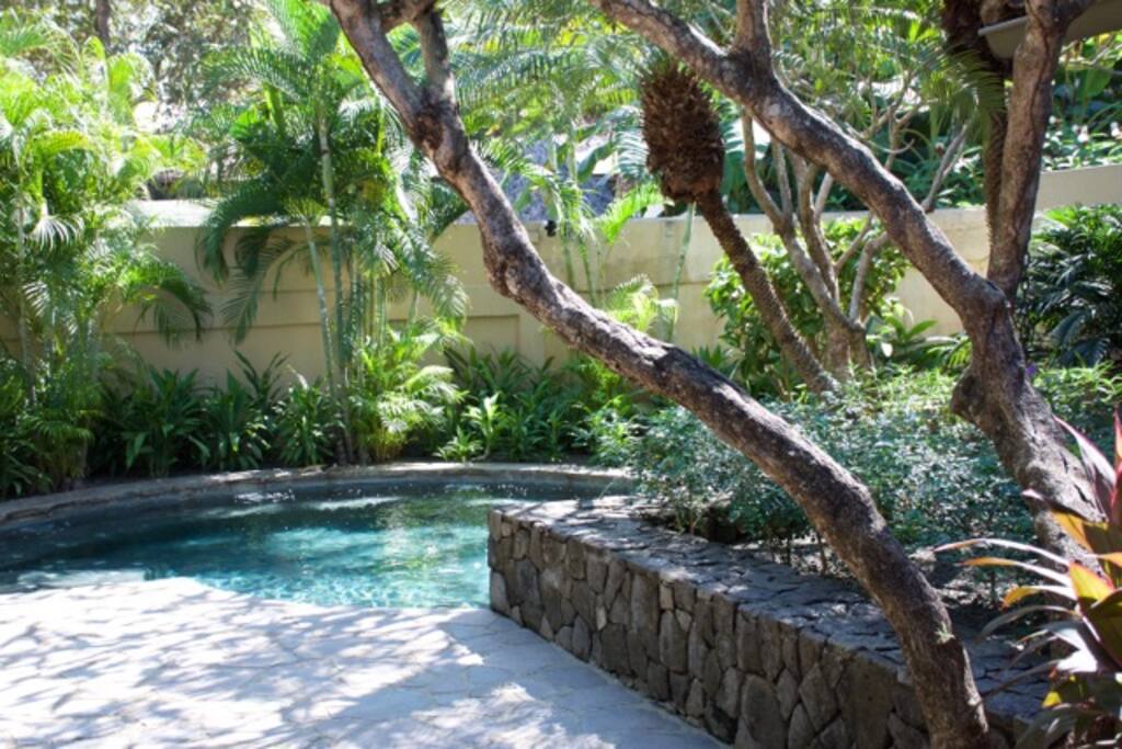 pool