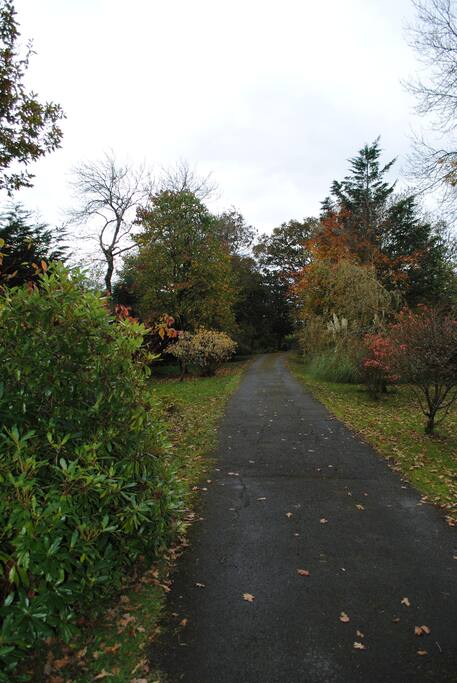 Driveway