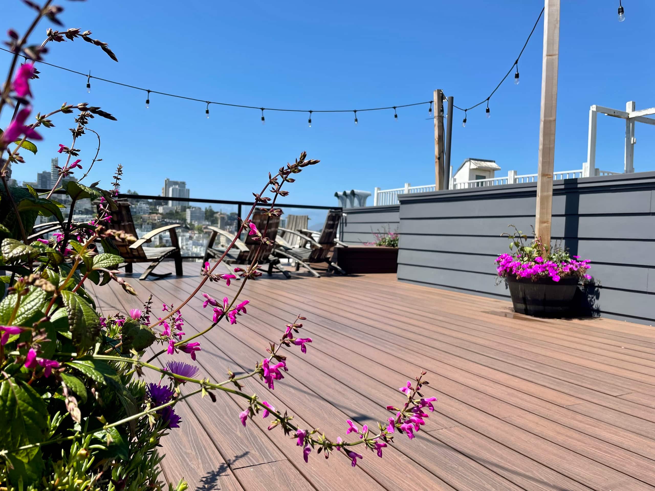 Home in San Francisco · ★4.95 · 2 bedrooms · 2 beds · 3.5 baths - Image 73