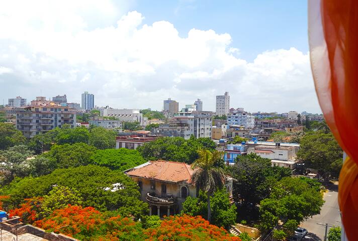 Havana Homes managed Airbnb listing 3