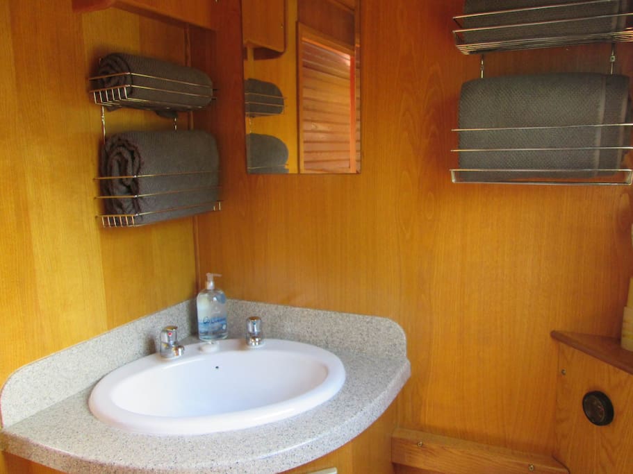Bathroom with sink, toilet, and shower