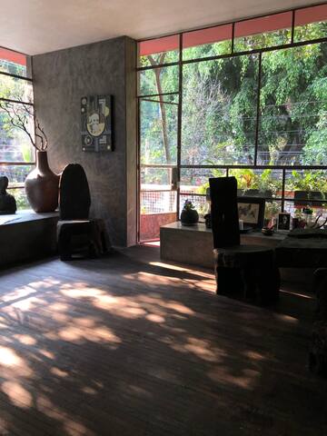 Kaya Kalpa-Organic Designer Apartment in Condesa gallery image 5