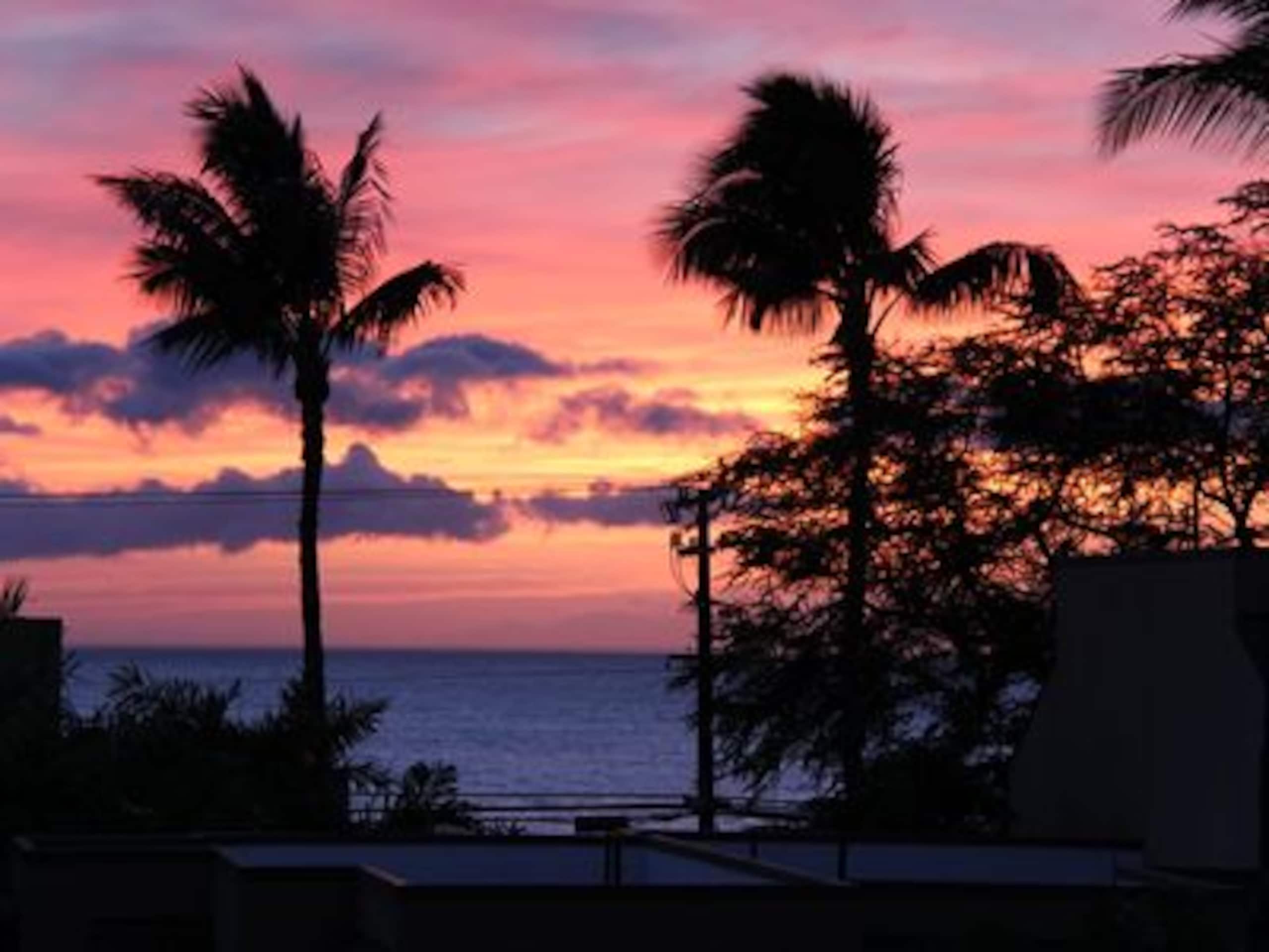 Condo in Kihei · ★4.98 · 1 bedroom · 2 beds · 1 bath - Image 17