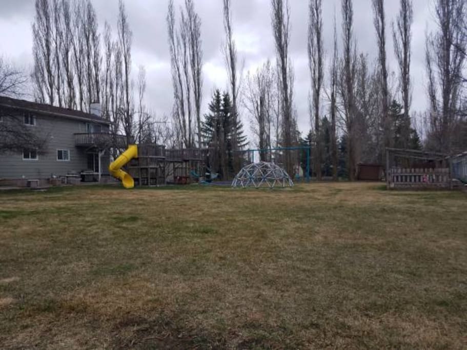 Side view of yard area