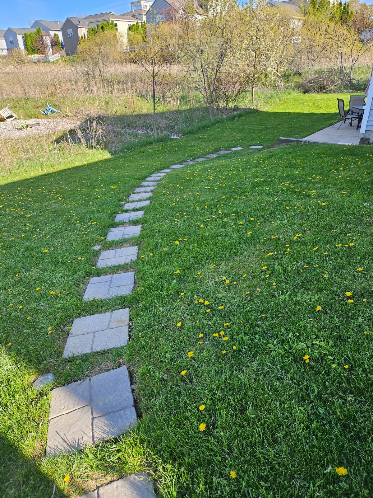 A paver path winds through a lush green lawn sprinkled with yellow dandelions, leading from a patio area to an open grassy space. Surrounding trees and bushes provide a natural backdrop, enhancing the outdoor environment.