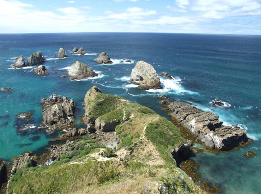 Nugget Point Lighthouse viewing platform