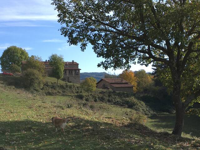 Magnificent rural house from XI century gallery image 2