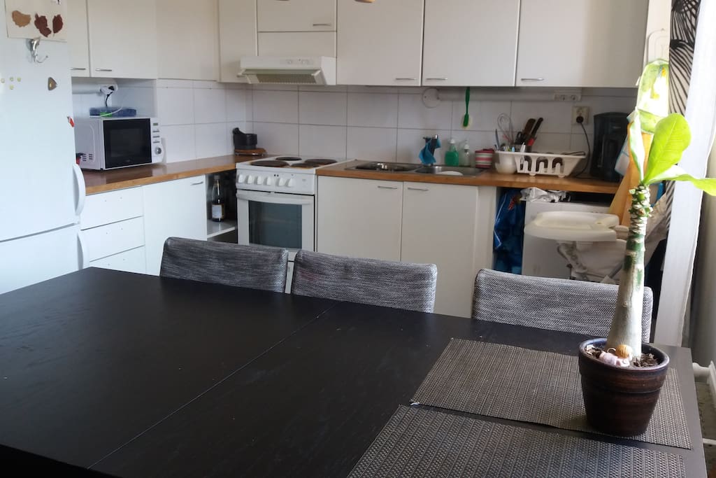 Spacious kitchen with microwave, oven, coffee-maker, dish-washing machine, etc. Also kitchen utensils.