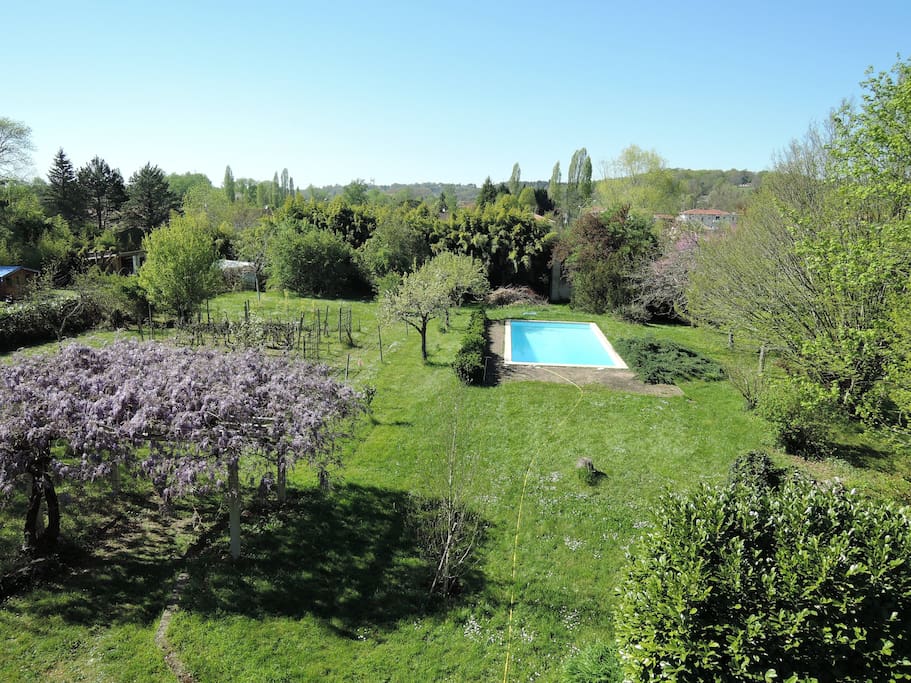 le jardin et la piscine