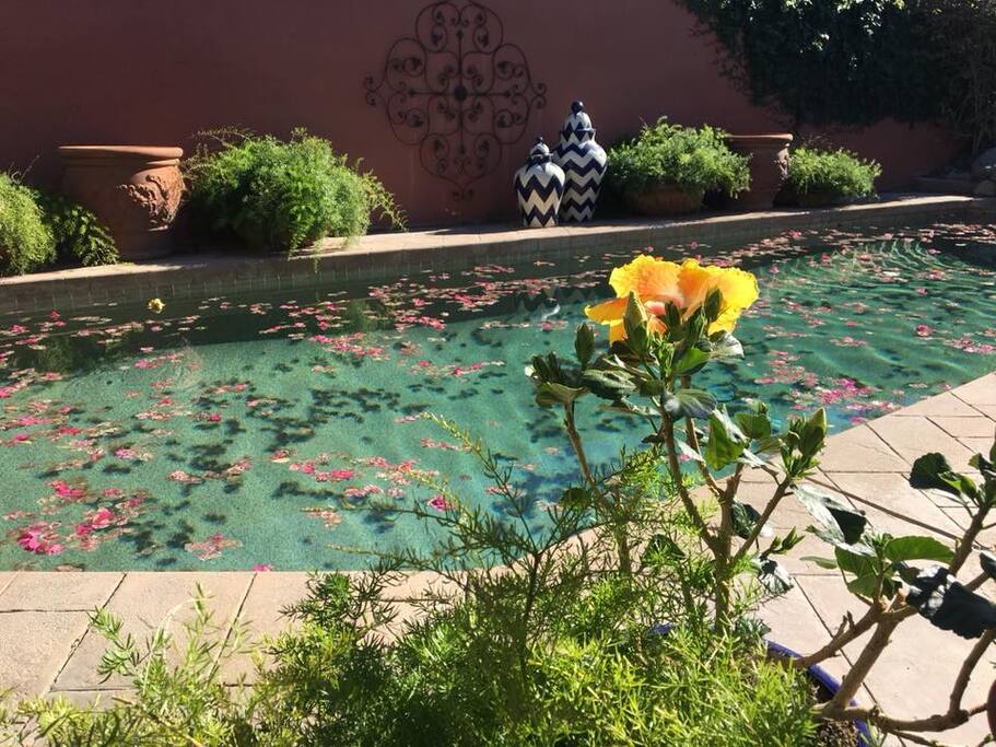 Relaxing "Salt Water" Pool