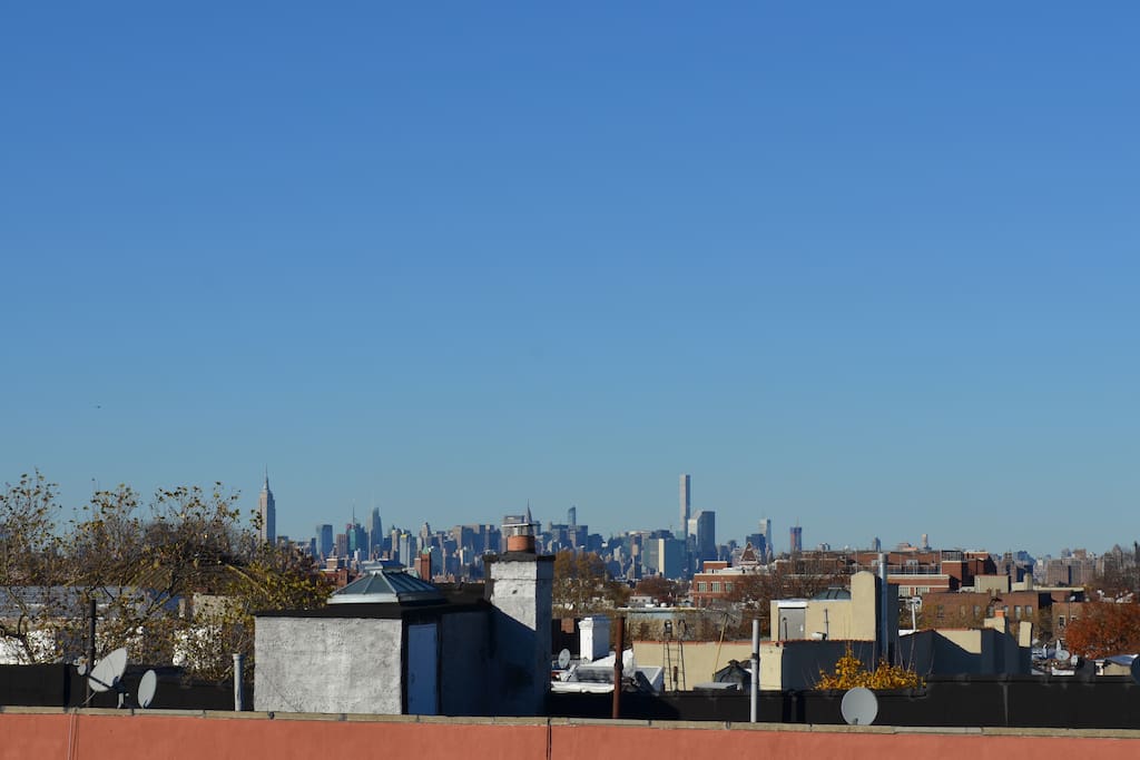Roof Top - View of Manhattan. Community roof (NOT A PRIVATE ROOF). Empire State building on the left.