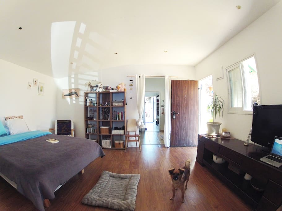 Bedroom with queen size bed, TV and sound system