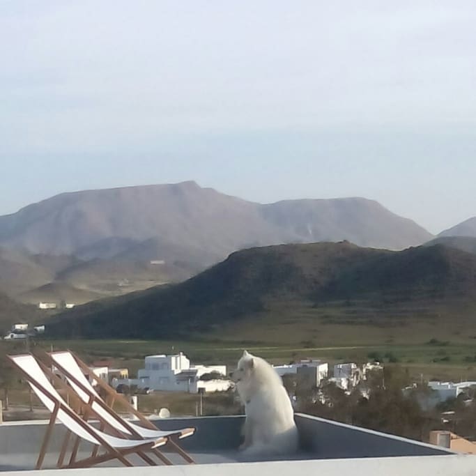 Vistas a la montaña