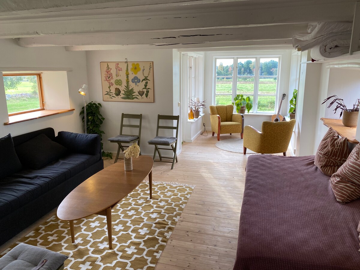 Всекидневна зона