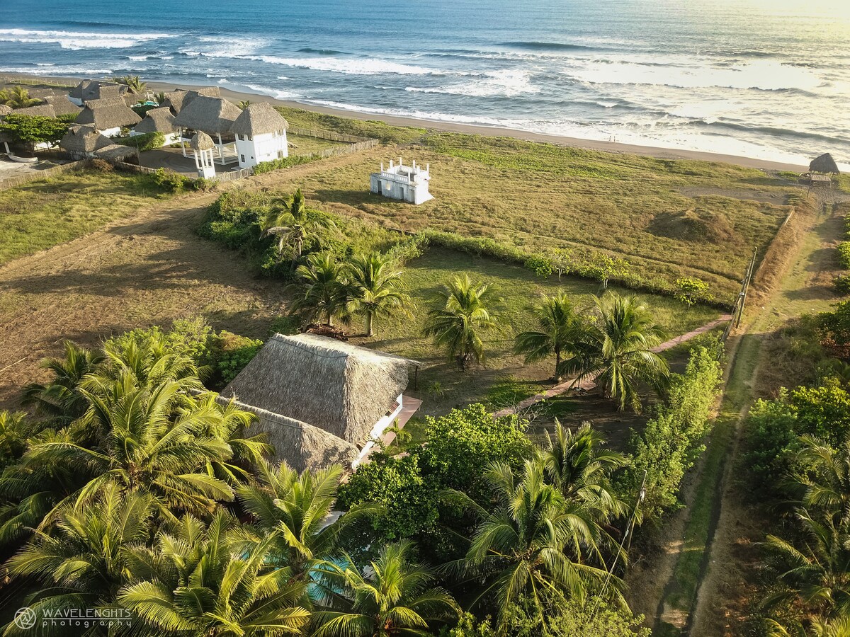 An aerial view showcases the private property surrounded by lush greenery, including numerous palm trees and fruit trees. The beach is visible just beyond the grassy area, with the ocean waves gently lapping the shore. A thatched-roof structure can be seen nestled among the foliage.