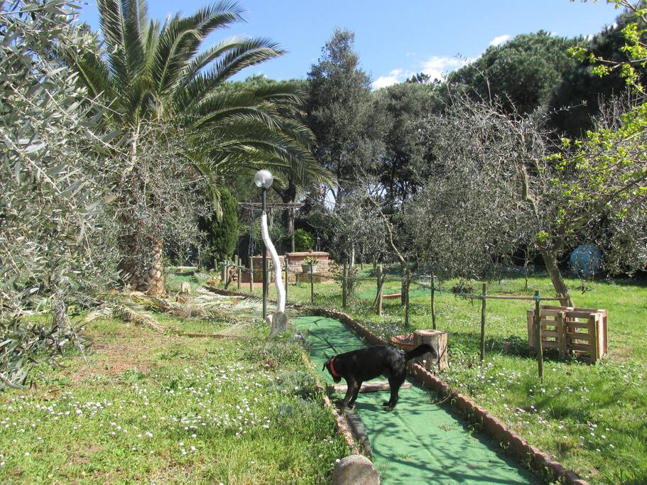parte del giardino (totalmente privato).