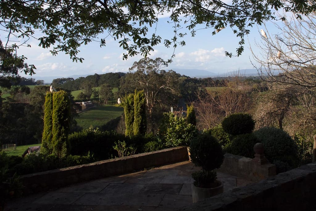 View from Cottage