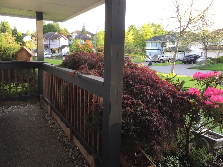 Front Yard