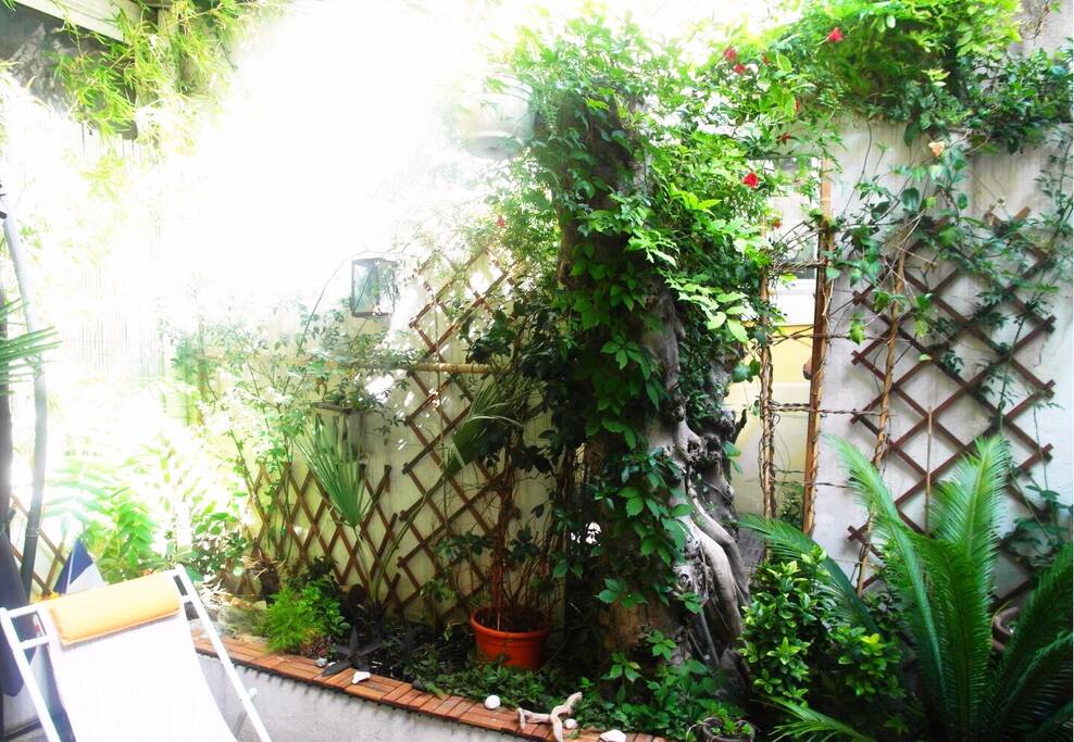 Terrasse arborée