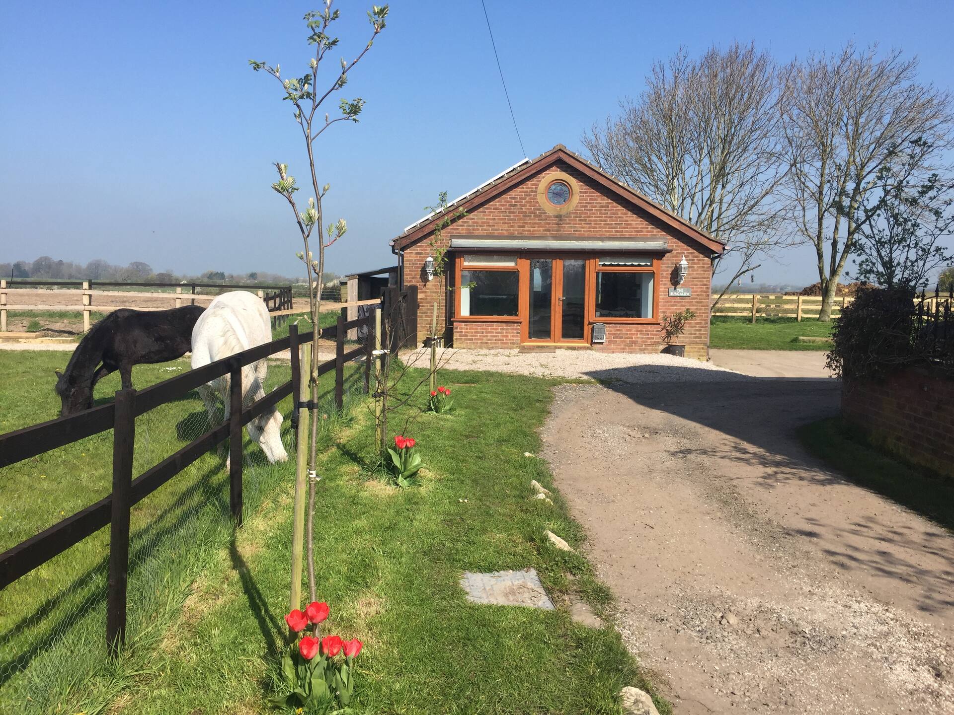 Bungalow rural indépendant et cosy – escapade paisible à la campagne