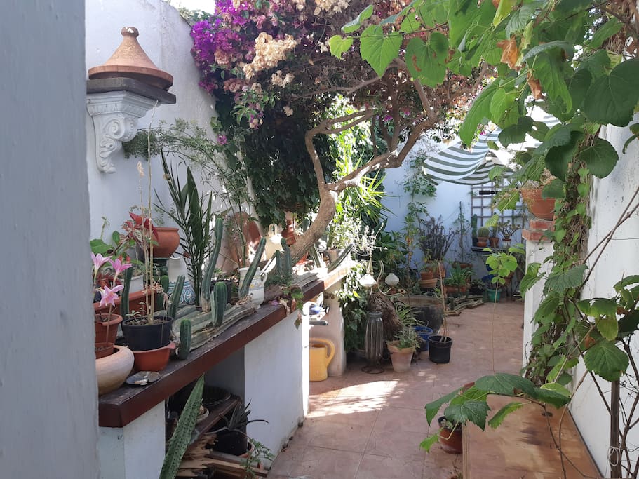 patio