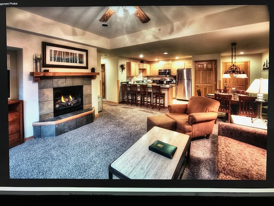 living area, fireplace, comfortable pull out couch