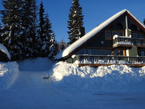 Trysil Bike&Ski in/out