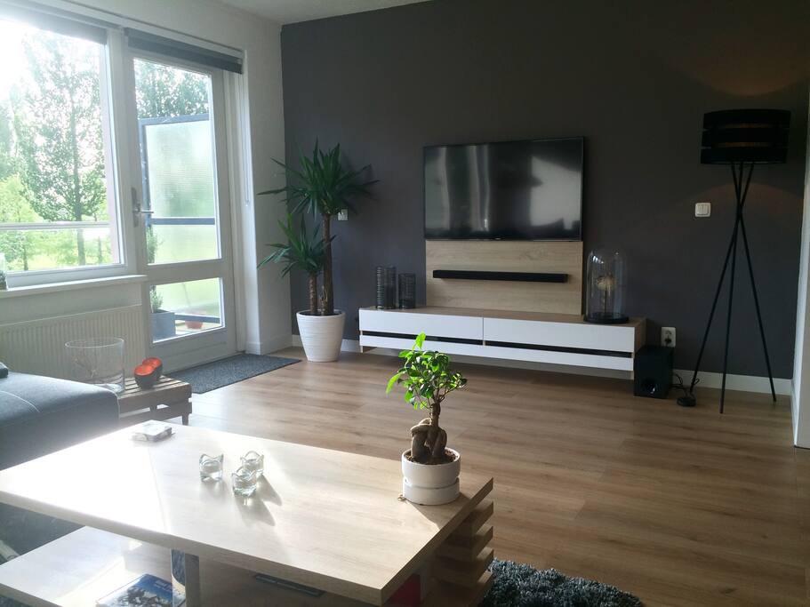 Modern living room.