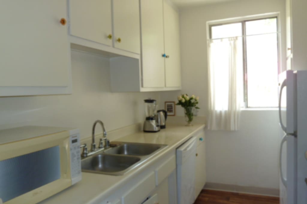 Kitchen Sink - Dishwasher - New
