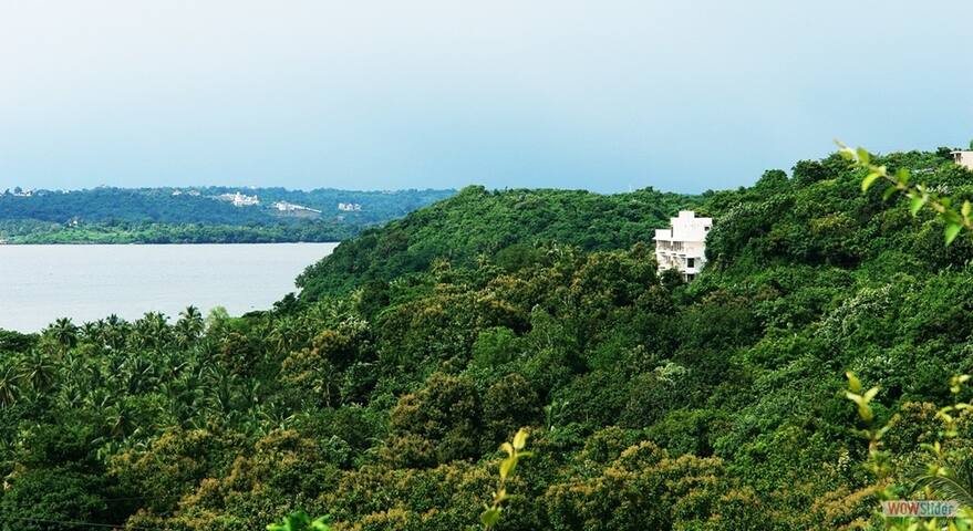 Seaview apt 1 Bedroom, Living/Dining & Kitchen