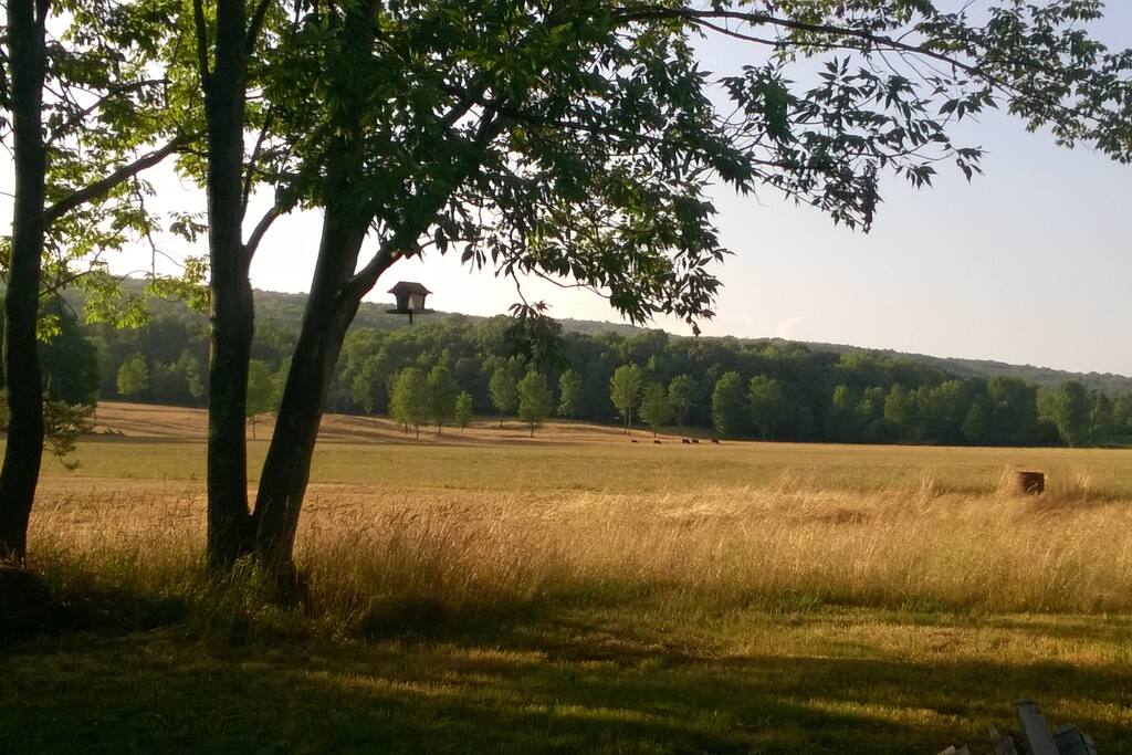 There are neighbors but you wouldn't know it from the backporch view.