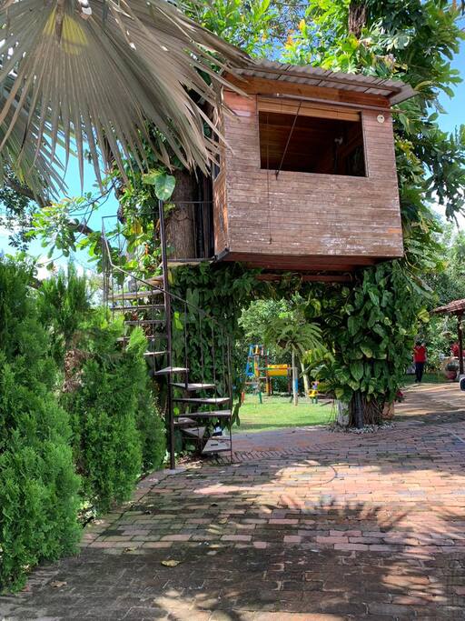 Casa arbol