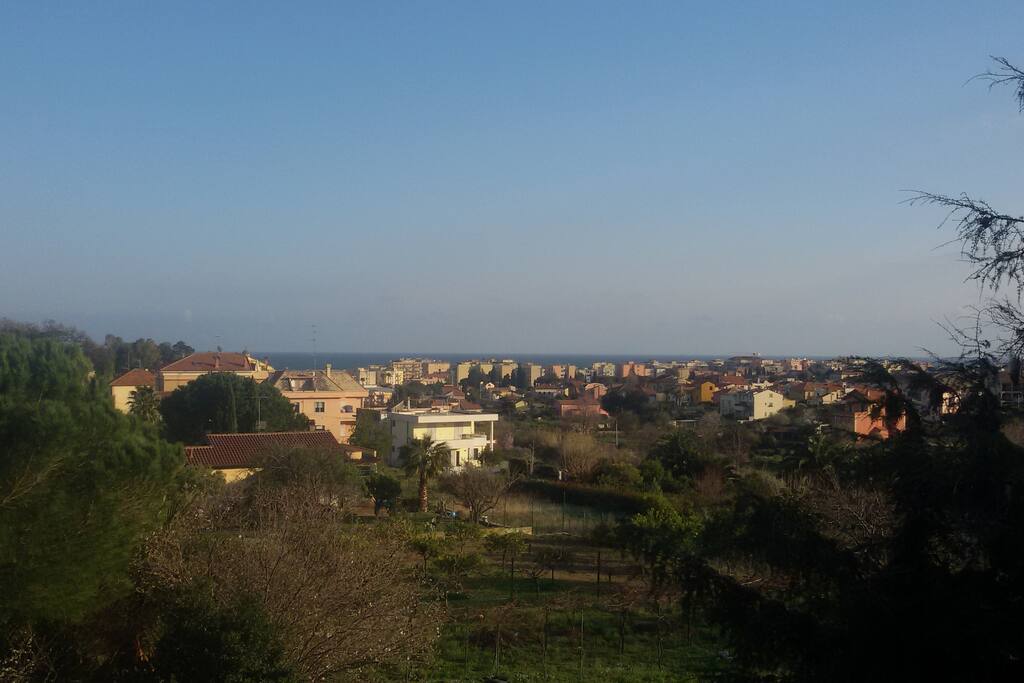 Panorama