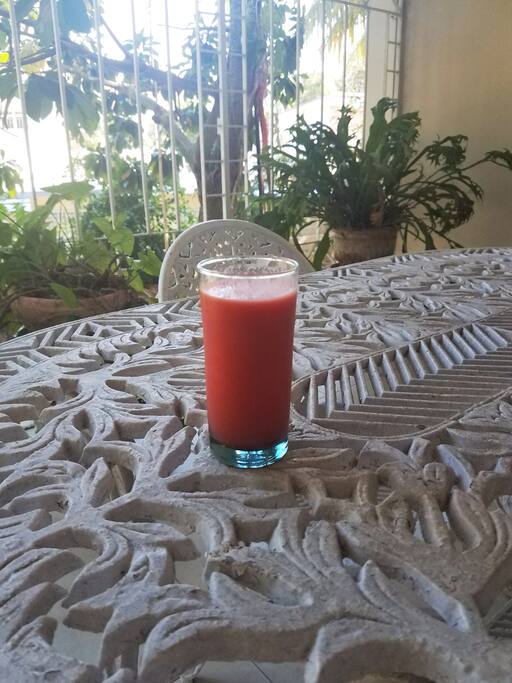 Or a mamey juice straight after picking up the fruit from the tree