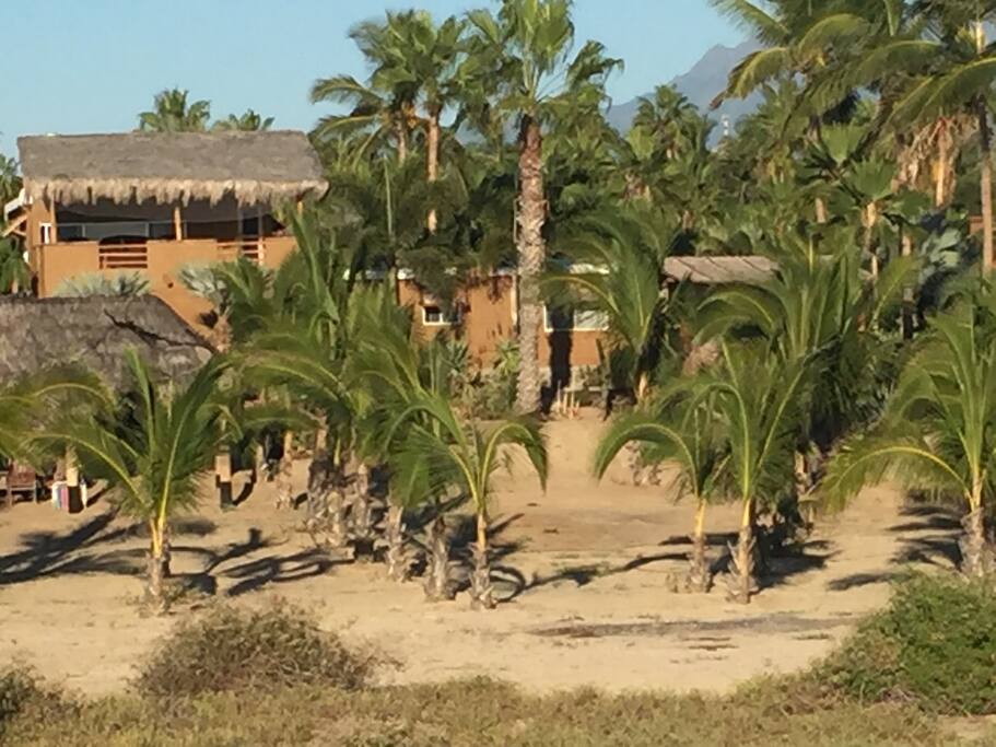 View of the House from Beach Walk