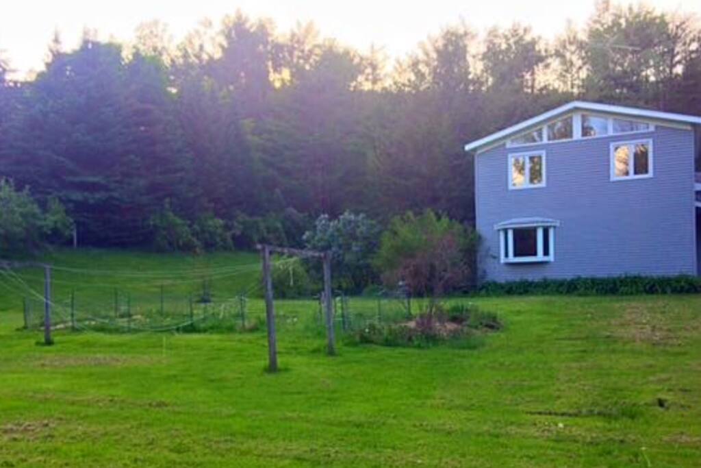 The garden and back yard