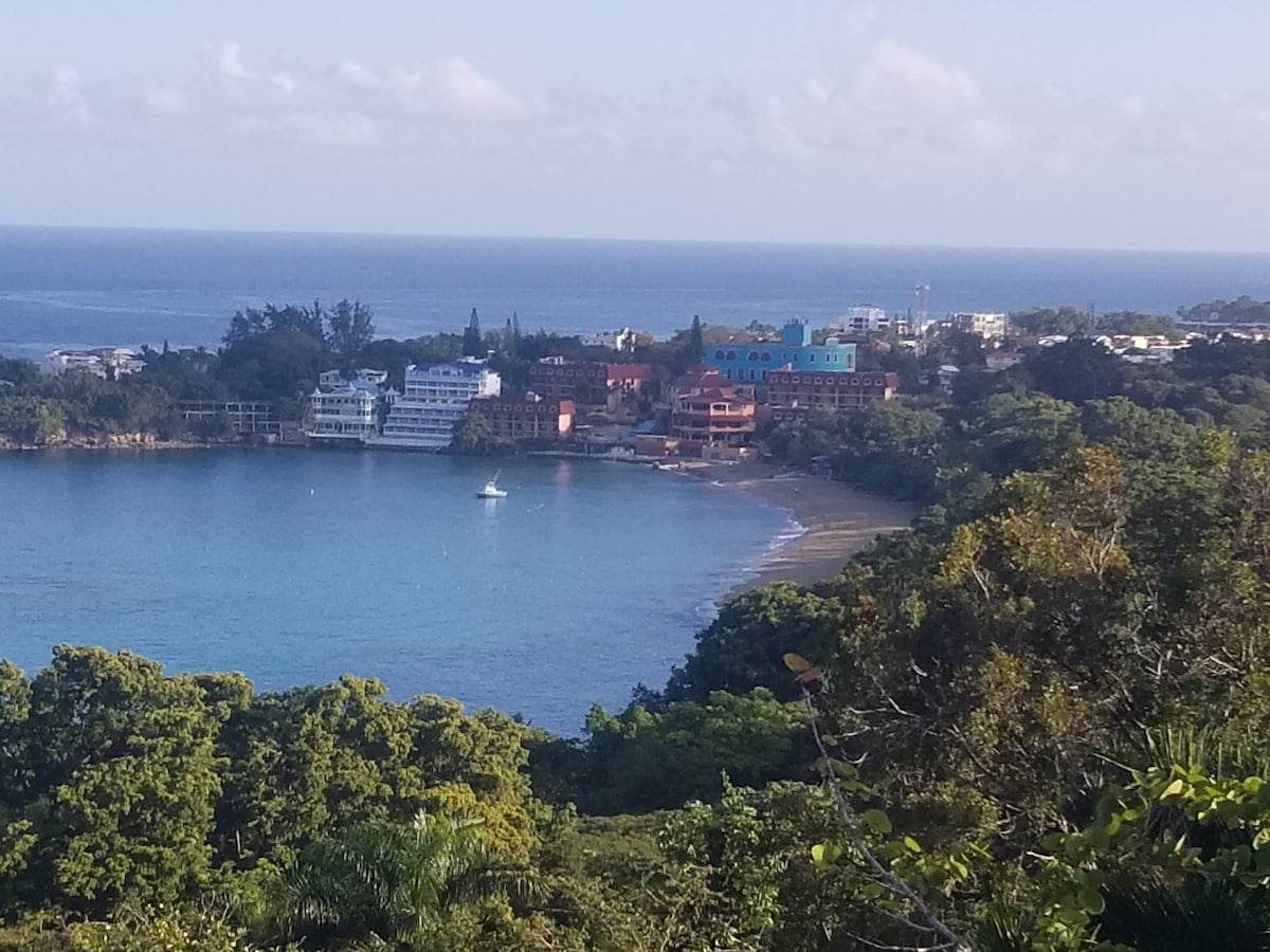 A scenic view of a coastal area is presented, with gentle waves meeting the sandy beach. Colorful buildings line the shore, framed by lush greenery. The tranquil water, reflecting the sky, highlights the proximity to nature and the charm of the surrounding landscape.