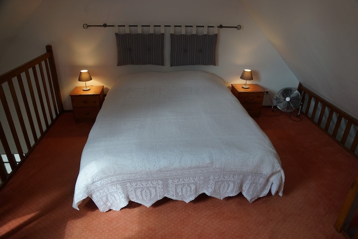 Стая „Мецанин“