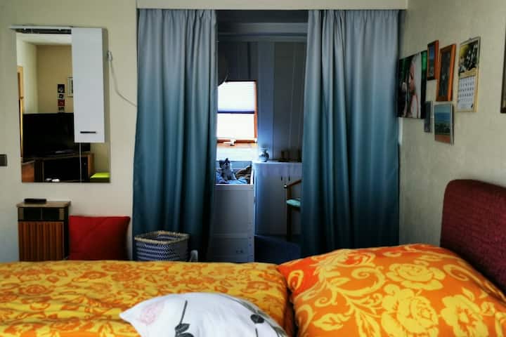 Chumba cha kulala 1 na alcove