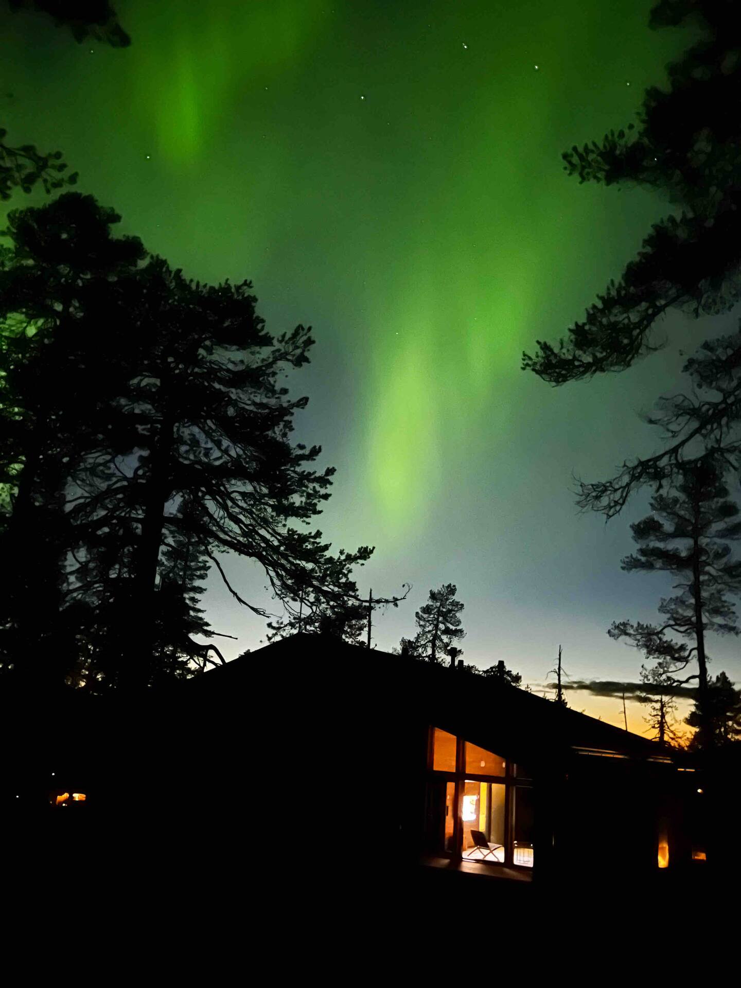 Villa Alveus - Modern Nordic Cabin In Ylläs 2