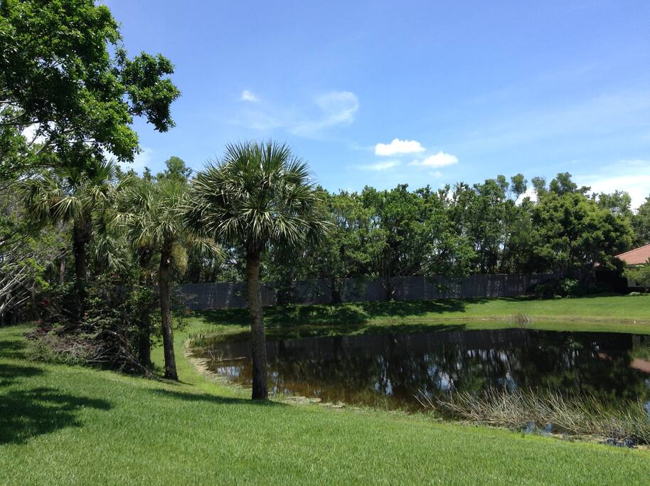 Backyard view from Villa