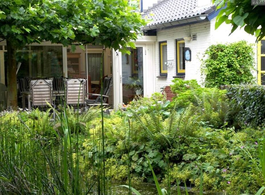 Closer look to house out garden