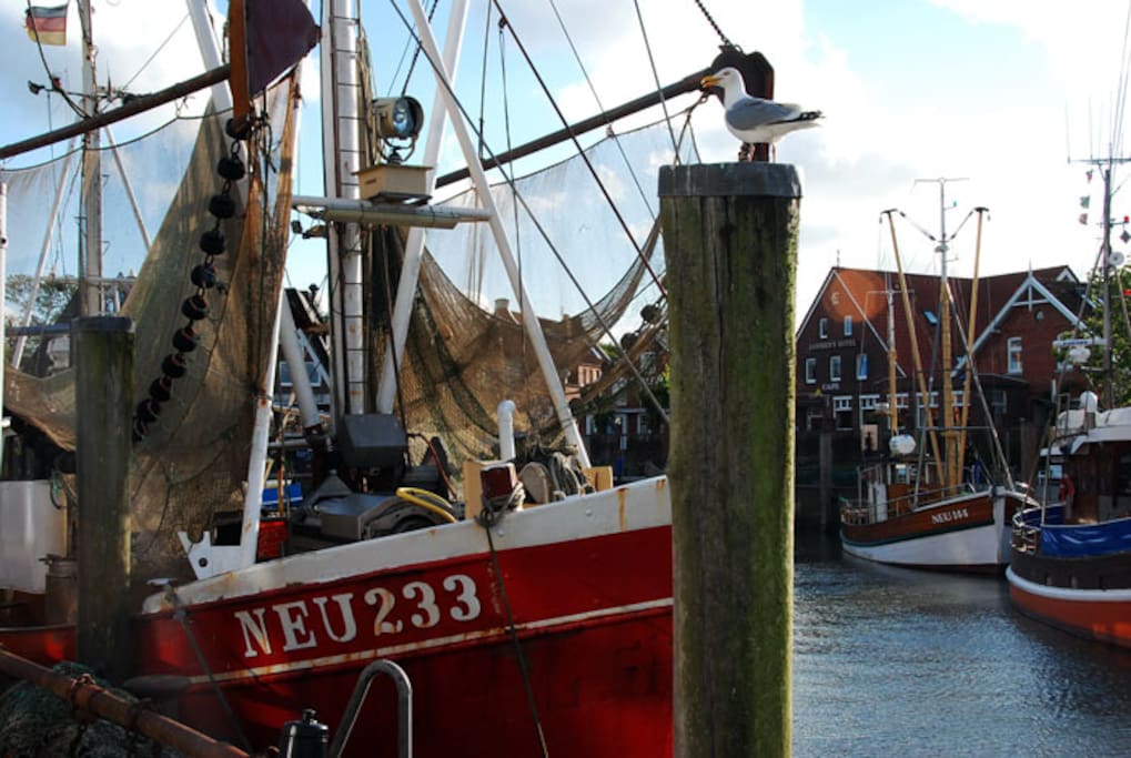 Der Hafen