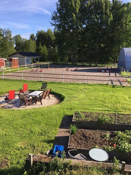 Paddock and part of the garden.