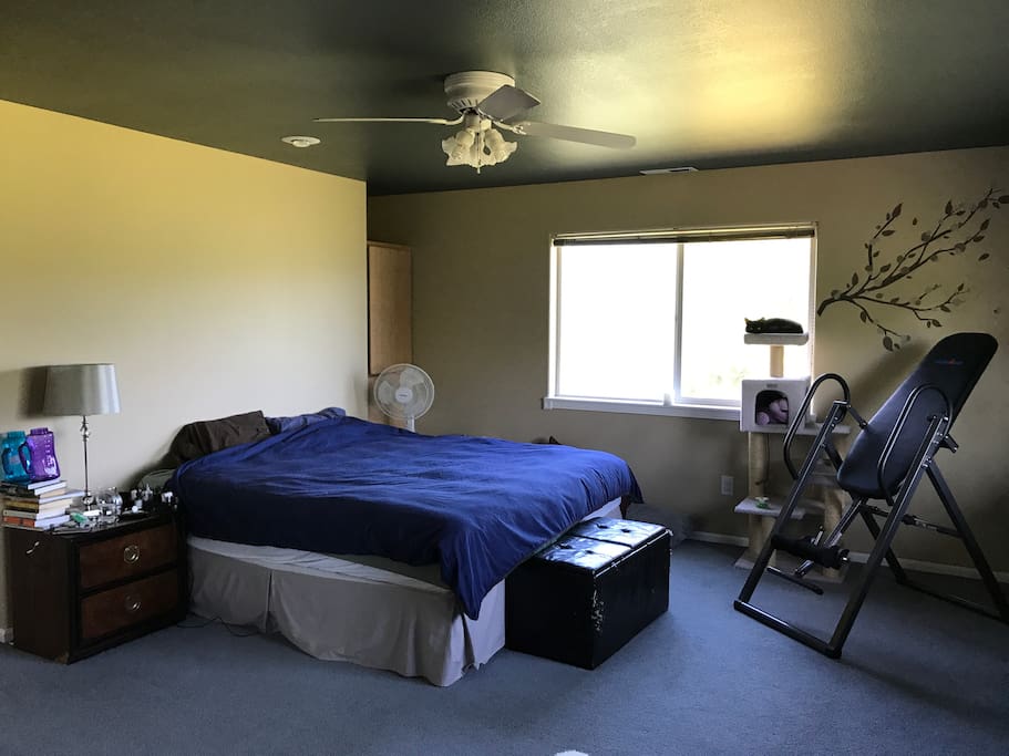 King bedroom with en suite bathroom with spa