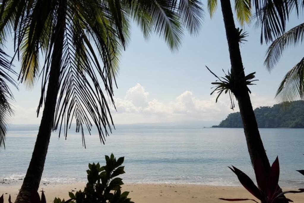 View from your room.