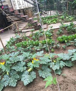 兰州市七里河区曦华源12号楼4单元1C带花园底层复式 - Lanzhou Shi - Maison de ville