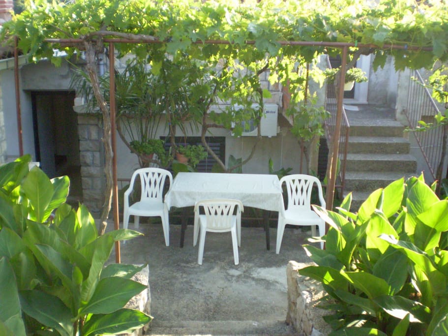 courtyard (house and surroundings)