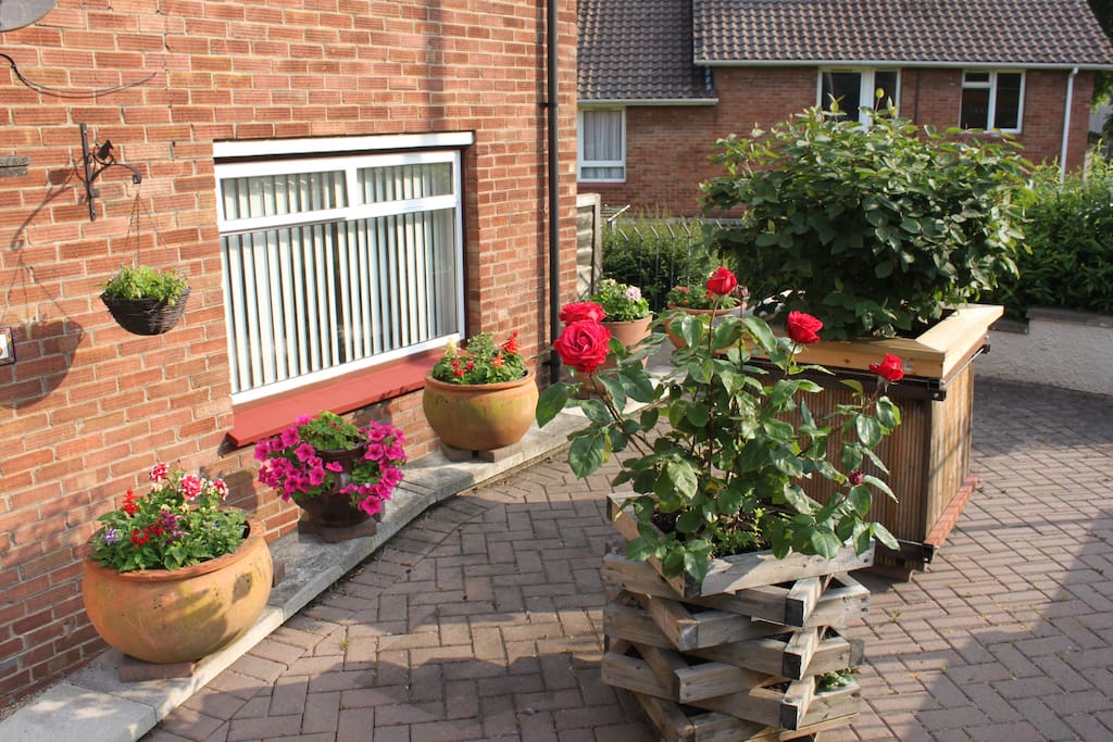 Front Deck in Summer