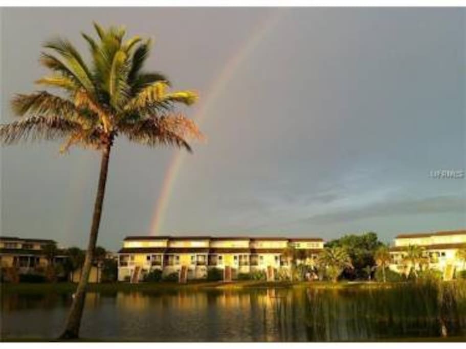 View from Lanai